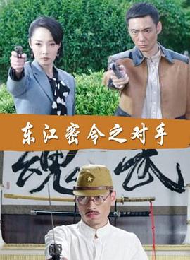 宁远卫视海报剧照